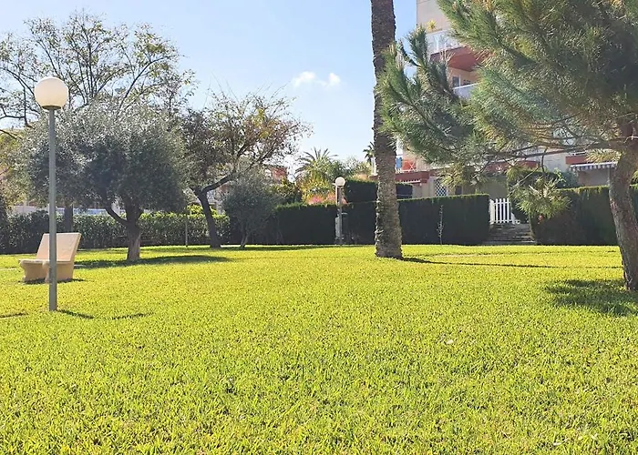 Maravista Vac002 Denirent *